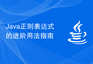 Java 正規表現の上級使用ガイド