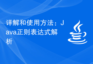 詳解與使用方法：Java正規表示式解析