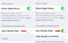 解决Apple音乐下载歌曲问题的10种方法
