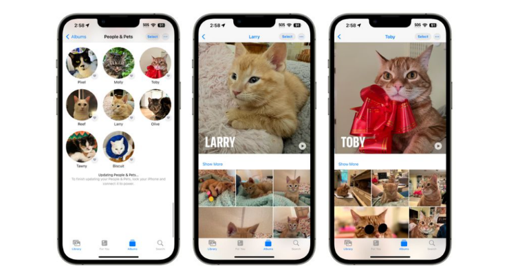 iOS17-Foto-Update: Die Erkennungsfunktion für Menschen, Katzen, Hunde und Haustiere ist genauer