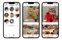 iOS17照片更新：人物和猫狗宠物识别功能更精确