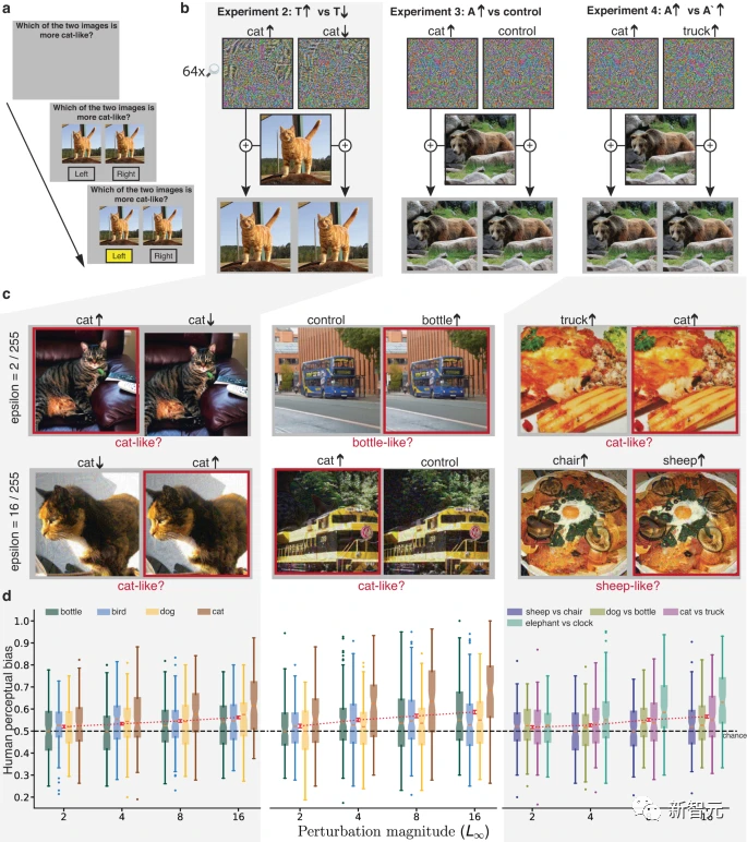 Penyelidikan Google DeepMind mendapati bahawa serangan musuh boleh menjejaskan pengecaman visual manusia dan AI, dengan mengira pasu sebagai kucing!