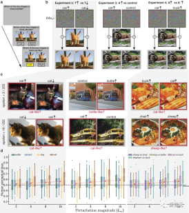 Google DeepMind research found that adversarial attacks can affect the visual recognition of humans and AI, mistaking a vase for a cat!