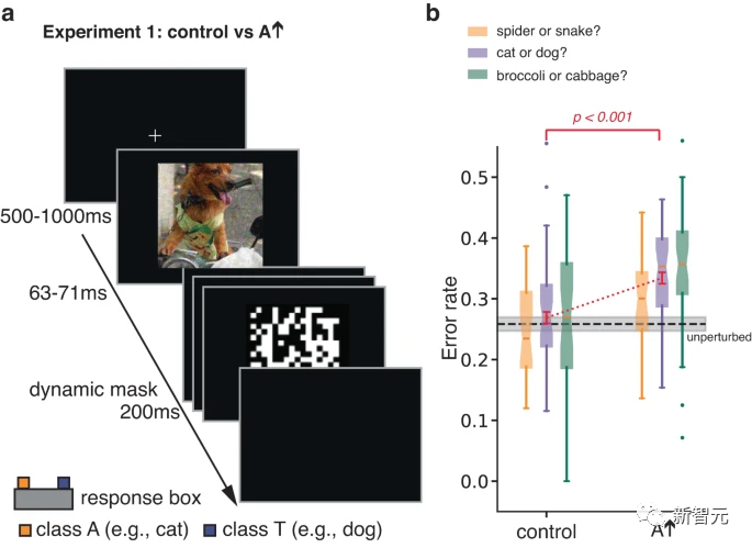 Untersuchungen von Google DeepMind haben ergeben, dass gegnerische Angriffe die visuelle Erkennung von Menschen und KI beeinträchtigen und eine Vase mit einer Katze verwechseln können!