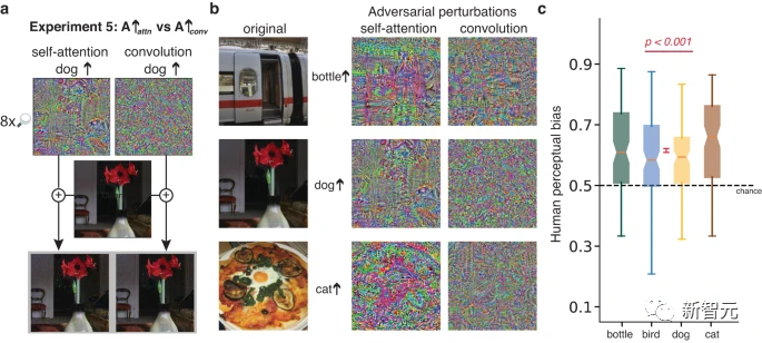 Untersuchungen von Google DeepMind haben ergeben, dass gegnerische Angriffe die visuelle Erkennung von Menschen und KI beeinträchtigen und eine Vase mit einer Katze verwechseln können!