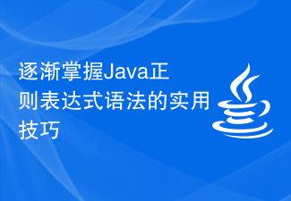 Erlernen Sie nach und nach die praktischen Fähigkeiten der Java-Syntax für reguläre Ausdrücke