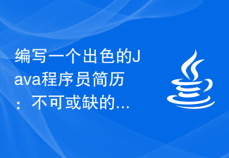 優れた Java プログラマーの履歴書を書く: 必須情報