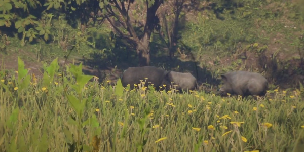 Introduction to how to obtain the perfect boar skin in Red Dead Redemption 2