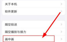 苹果手机怎么分屏？