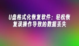 U盘格式化恢复软件：轻松恢复误操作导致的数据丢失