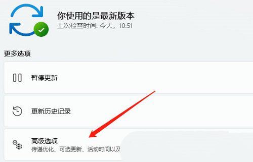 win11系统中未检测到nvidia图形卡? Win11 nvidia显卡不见了的解决办法