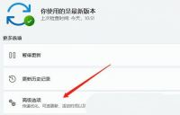 win11系统中未检测到nvidia图形卡? Win11 nvidia显卡不见了的解决办法
