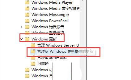 win11系统中未检测到nvidia图形卡? Win11 nvidia显卡不见了的解决办法