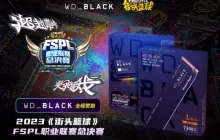 随时随地主宰胜利  WD_BLACK助力《街头篮球》FSPL总决赛
