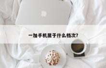 一加手机的级别是什么？