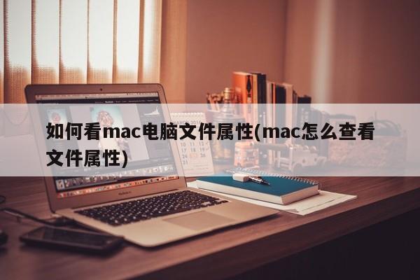 How to view the properties of Mac computer files