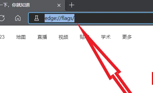 Windows 10自带的浏览器Edge加载网页速度缓慢