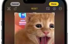 iOS 17 “照片”应用的新操作逻辑指南