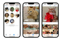 iOS 17 照片应用更新：提升人物和猫狗宠物识别的准确性