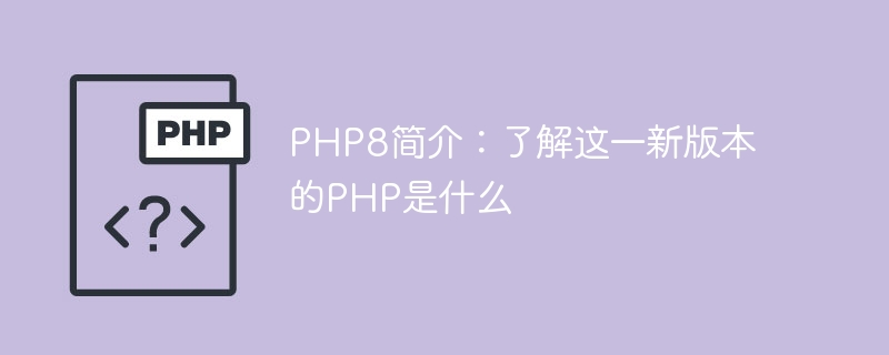 PHP8의 새 버전 살펴보기: 차세대 PHP의 기능 이해