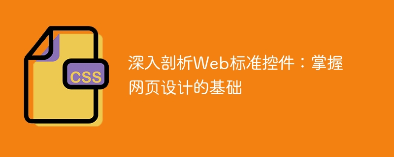 웹 표준화된 컨트롤에 대한 심층적인 이해: 웹 디자인의 기본 원칙을 숙지합니다.