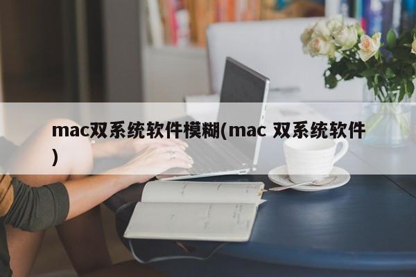 mac双系统软件模糊(mac 双系统软件)