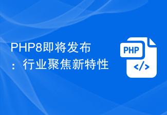 PHP8 출시 예정: 업계는 새로운 기능에 집중