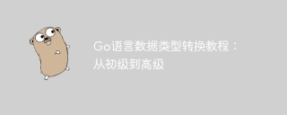 Go language data type conversion guide: from beginner to expert