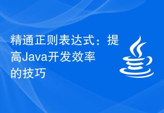 정규식 마스터하기: Java 개발 효율성 향상을 위한 팁