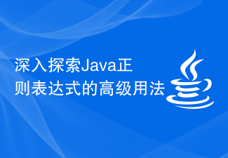 Java 정규식의 고급 사용법에 대한 심층 탐구