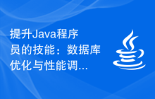 提升Java程序员的技能：数据库优化与性能调优技巧指南