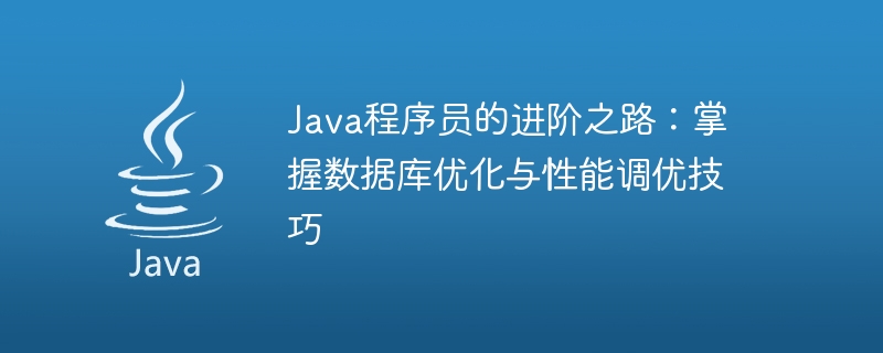 Java 프로그래머의 기술 향상: 데이터베이스 최적화 및 성능 조정 팁 가이드