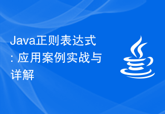 Java 正規表現: 実際の適用事例と詳細な説明