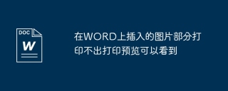 Print preview can display some pictures inserted in WORD but cannot be printed.
