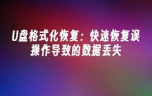 数据恢复在误操作导致的U盘格式化中的快速解决方法