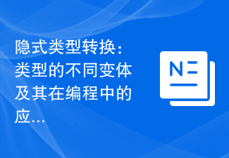 隱式型別轉換：型別的不同變體及其在程式設計中的應用探究