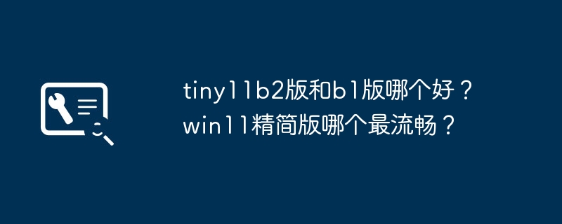 tiny11b2版和b1版哪个好？ win11精简版哪个最流畅？