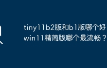 tiny11b2版与b1版之间的选择：哪个更好？win11精简版中哪个最为顺畅？