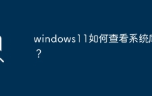 系统库在Windows11中的查看方法