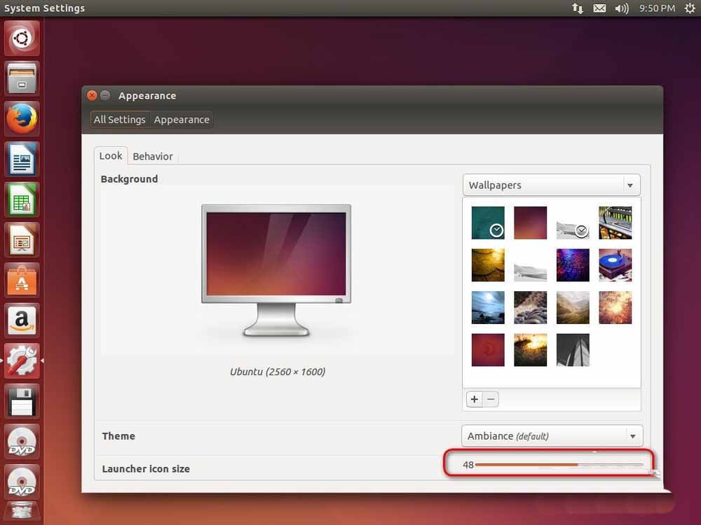 Adjust the size settings of the icon button on the left side of the Ubuntu system