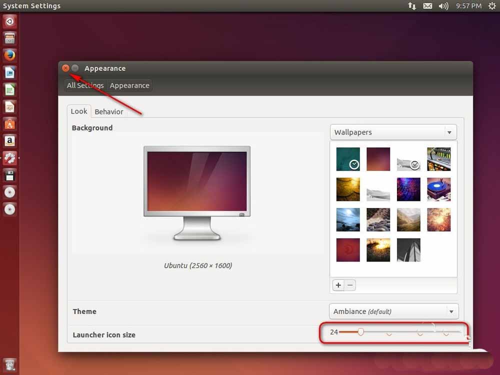 Adjust the size settings of the icon button on the left side of the Ubuntu system