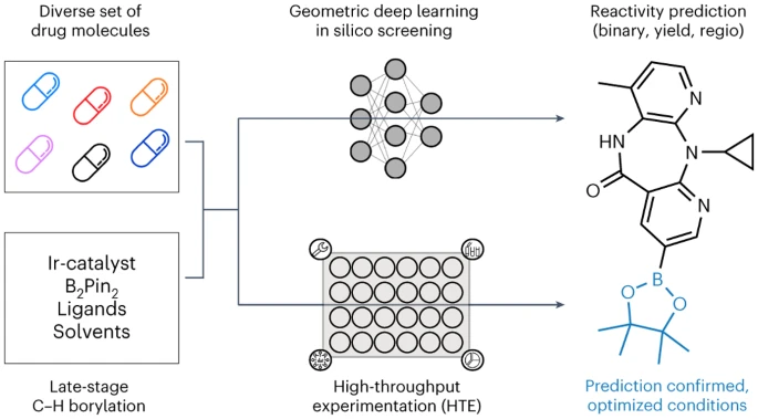 Vorhersage optimaler Optionen für die Synthese von Arzneimittelmolekülen mithilfe geometrischer Deep-Learning-Methoden und ebnet so den Weg für die Entdeckung neuer Arzneimittel