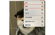 如何在 iPhone 上编辑照片而不覆盖原始文件？