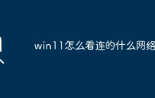 如何查看Win11所连接的网络类型？
