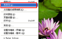 在Word中如何打开和编辑扫描的文件