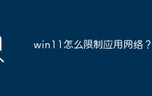 控制Win11中的应用网络访问
