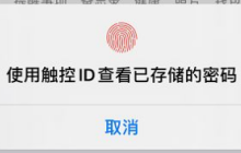 如何关闭苹果Safari的自动填充功能？