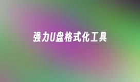 高效的U盘格式化工具