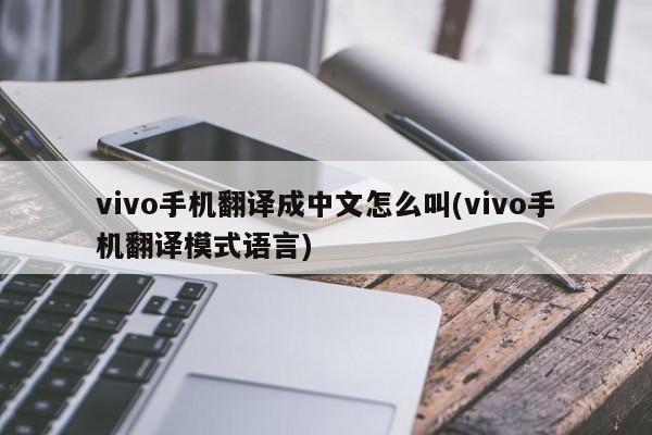 vivo手机翻译成中文怎么叫