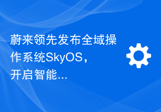 蔚来领先发布全域操作系统SkyOS,开启智能驾驶新篇章
